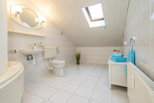 a bathroom with a toilet and a sink and a mirror at Dom Czajka nad Jeziorem Wigry in Stary Folwark