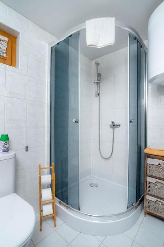 a shower with a glass door in a bathroom at Chalupa na Samote in Terchová