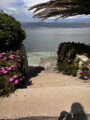 Apartman Berle
