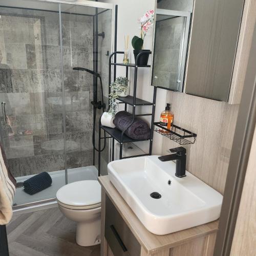 a bathroom with a toilet and a sink and a shower at 10 Sunset view in Scunthorpe