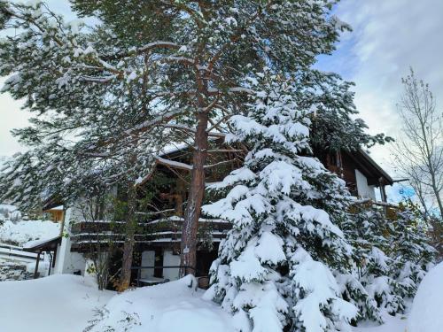 Bel appartement dans un chalet typique