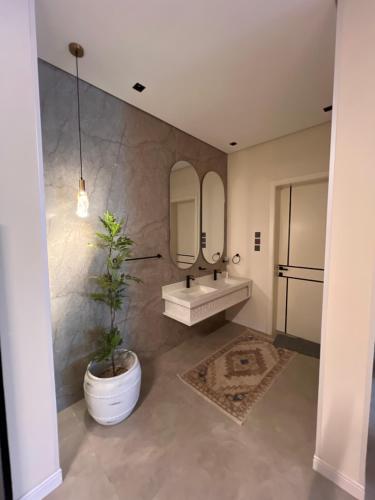 a bathroom with a sink and a potted plant at اكواخ ساوثرنز in Ḩaḑram