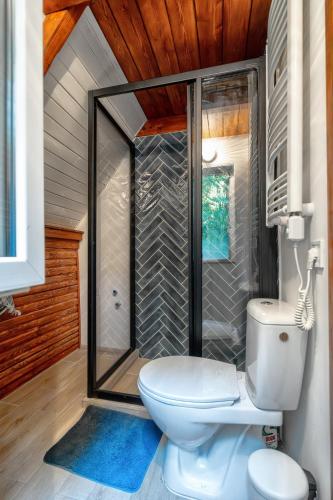 a bathroom with a toilet and a shower at Cherry garden Cseresznyéskert Vendégház in Dunabogdány