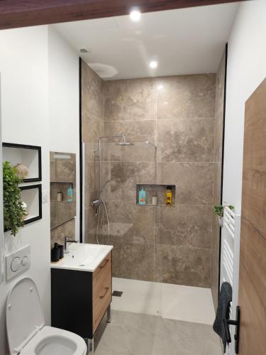 a bathroom with a shower with a toilet and a sink at Jardin De La Sagesse in Sotteville-lès-Rouen