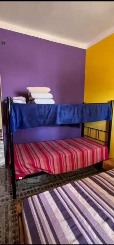 a bunk bed in a room with colorful walls at Hostel Portal del Sol in Fiambalá