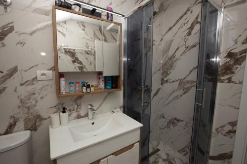 a bathroom with a sink and a shower at Familija in Belgrade