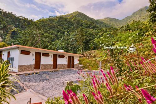 Finca Ki' - Eco Farm Stay Bed & Breakfast - El Yunque Region