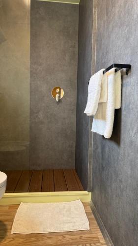 a bathroom with a shower with towels and a toilet at HappyPlace - Kolpa PremiumMobileHome in Metlika