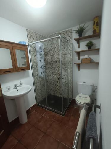 a bathroom with a shower and a toilet and a sink at Apartamento Lanzarote in Teguise