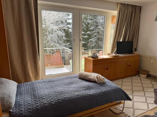 a bedroom with a bed and a large window at FeWo Fuchs Saig in Lenzkirch