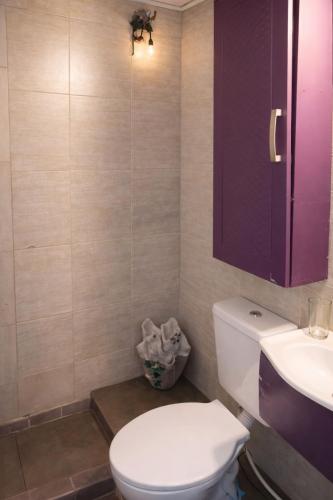 a bathroom with a white toilet and a purple cabinet at Doña Minina in Posadas