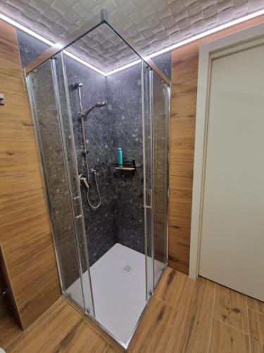 a shower with a glass enclosure in a room at VENEZIA Playa in Chioggia