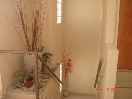 a room with potted plants in the corner of a room at San Carlos Hotel in Buenos Aires