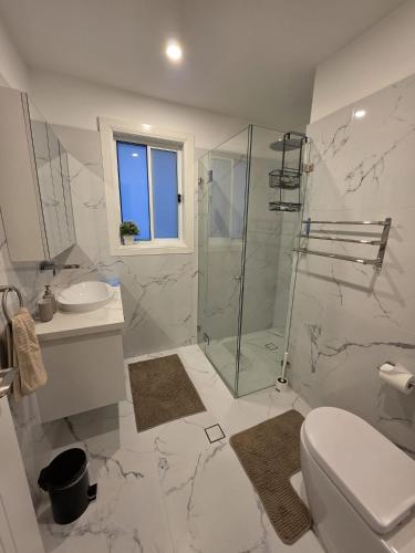 a bathroom with a shower and a toilet and a sink at Serenity Valley Brooklyn in Brooklyn