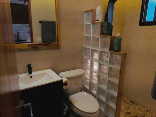 a bathroom with a toilet and a sink at Coffee Cabins - Cabin 4 in Boquete