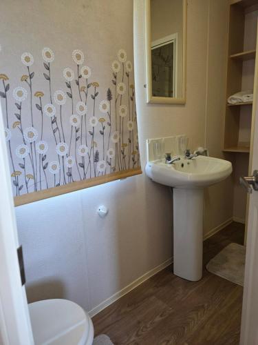 a bathroom with a sink and a mirror at Loulex Deluxe in Jaywick Sands