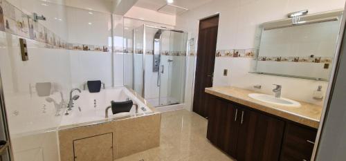 a bathroom with a shower and a sink and a mirror at Hospedaje Tunari - Chalet de Lujo con Jacuzzy, Jardin, Horno y Barbacoa a Leña in Quillacollo