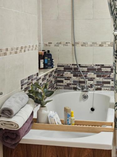 a bathroom with a bath tub with a plant on a shelf at City Centre stay in Liverpool
