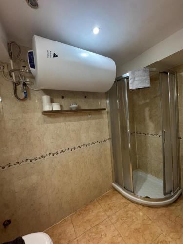 a bathroom with a shower and a toilet at PASEO ROMANo in Lugo
