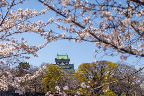 a building with a clock tower in the background withakura trees at エクセレンス大阪城公園 Osaka Castle Suite - Best for Cherry Blossoms & Park Views - Central Stay in Osaka