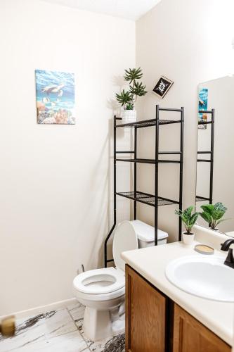 a bathroom with a toilet and a sink at The Huntsville Nest - 2BR Near SHSU - Pool - WiFi - Free Parking in Huntsville