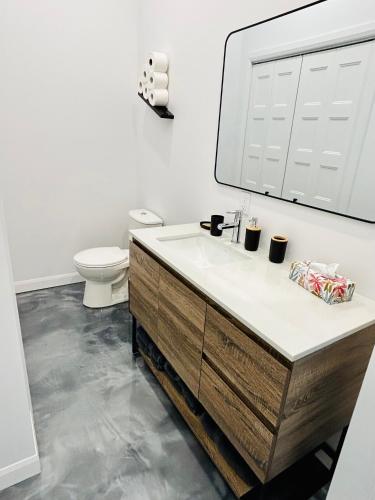 a bathroom with a sink and a toilet and a mirror at La remontee in LʼAnse-Saint-Jean