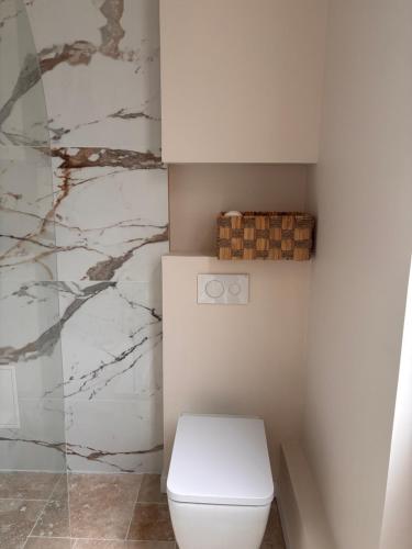 a bathroom with a white toilet and a marble wall at Maison Léon in Dole
