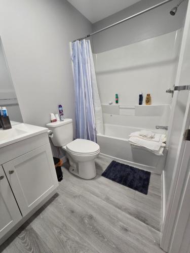 a bathroom with a toilet and a tub and a sink at Basement suite in Winnipeg in Winnipeg
