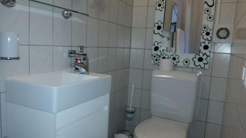 ein Badezimmer mit einem Waschbecken, einem WC und einem Spiegel in der Unterkunft Studio indépendant à Grône in Grône