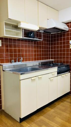 Endless Mitsui Minami 5jo II - Vacation STAY 18344