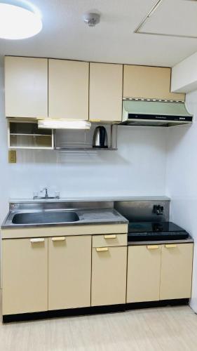 Endless Mitsui Minami 5jo II - Vacation STAY 18323
