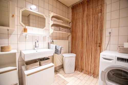 a bathroom with a sink and a washing machine at Schwarzwald Ferienhäuser in Haslach im Kinzigtal