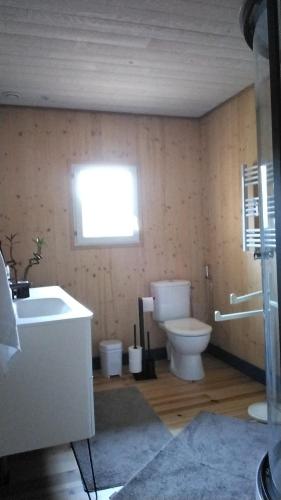 a bathroom with a toilet and a sink at Le grenier in Bazas
