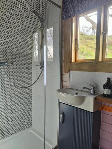 a bathroom with a shower and a sink at Tan-y-Dderwen Pod in Machynlleth