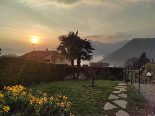 a garden with a palm tree and a fence with the sunset at CasaDolcelago Sulzano Villa con Giardino Vista Lago Parking Free in Sulzano