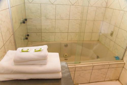 リオ・ヴェルデ・デ・マット・グロッソにあるHotel Serra Verdeのバスルーム(タオル2枚、バスタブ付)