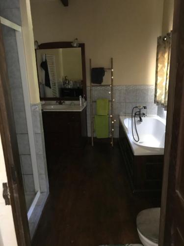 a bathroom with a sink and a toilet and a tub at Grande maison entre vert et bleu in Saint-Yrieix-la-Montagne