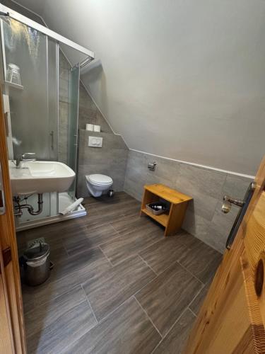 a bathroom with a sink and a toilet at Domačija Plesnik in Solčava