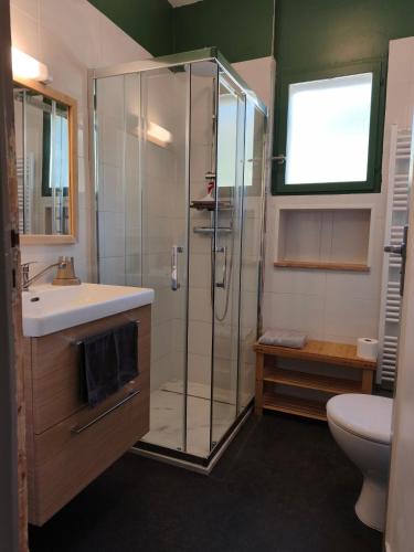 a bathroom with a shower and a sink and a toilet at Gîte du petit chemin in Châtillon-en-Diois