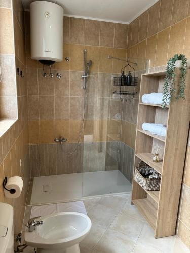 a bathroom with a shower with a toilet and a sink at Apartman Zlata in Buzdohanj
