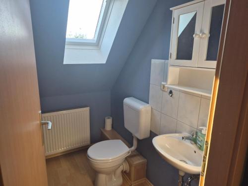 a small bathroom with a toilet and a sink at Alter Kräutergarten in Dabel