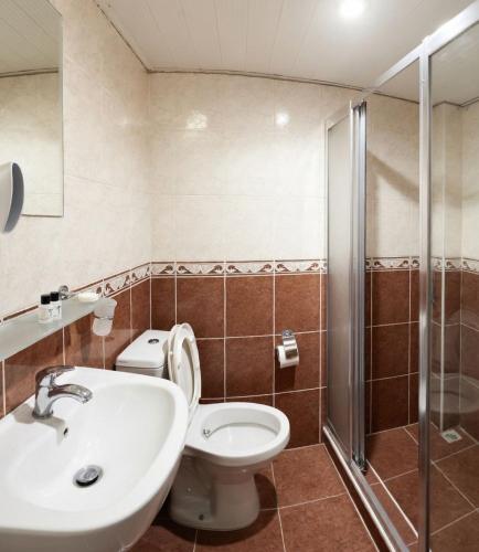 a bathroom with a toilet and a sink and a shower at Efendi Hotel old town special category in Istanbul