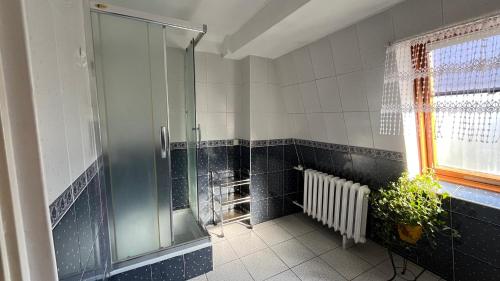 a bathroom with a glass shower and a plant at Anmar Pokoje Narty Rowery in Stronie Śląskie