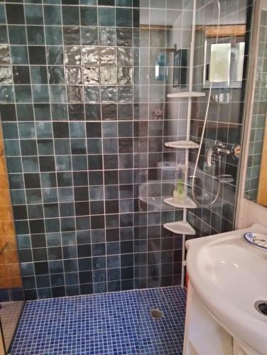 a bathroom with a shower and a sink at A Finquiña in Salcidos