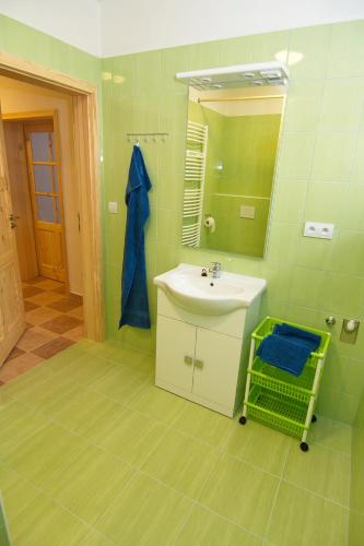 a bathroom with a sink and a mirror at Red Pine Apartments in Vlachovice