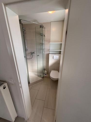 a bathroom with a shower and a toilet at Haus Blinkfüer in Wangerooge