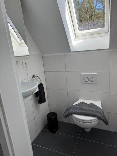 a bathroom with a toilet and a sink and a window at Lütte Lina in Neuenkirchen