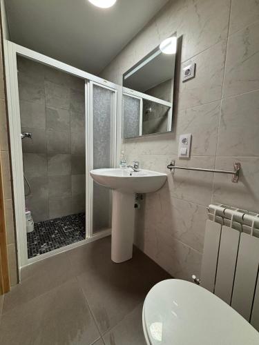 a bathroom with a sink and a shower and a toilet at Casa Rural SERAGAL in El Bonillo