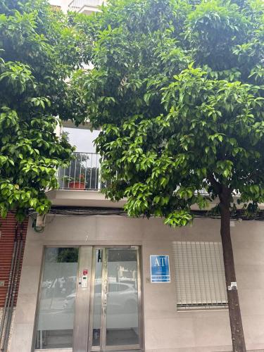 Apartamentos Padre Pedro Ayala