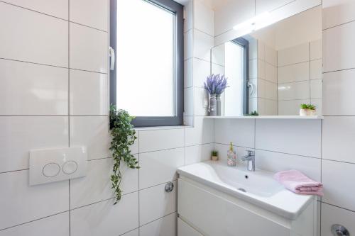 Apartman TIN